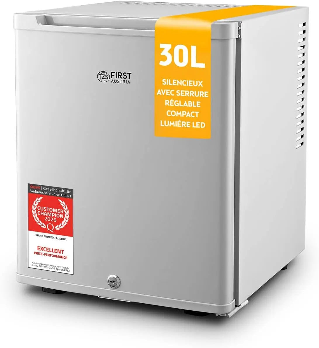 TZS mini-réfrigérateur, capacité 30 L, à fonctionnement silencieux, coloris gris