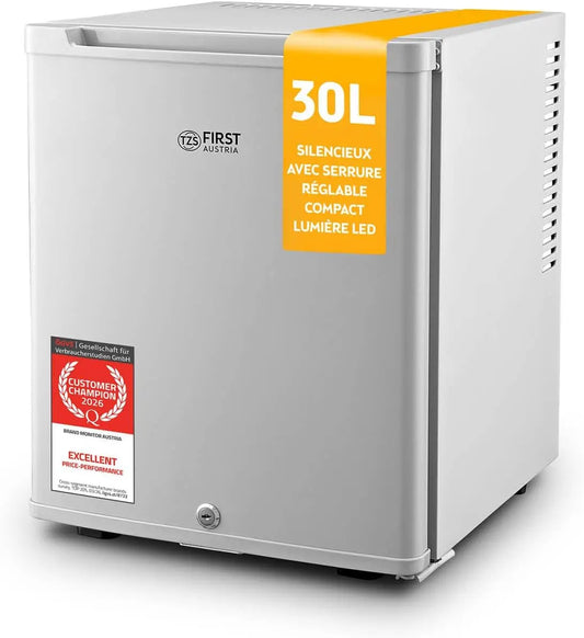 TZS mini-réfrigérateur, capacité 30 L, à fonctionnement silencieux, coloris gris
