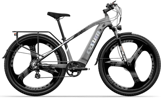 Speedy batterie rechargeable 25km, puissance 250 W